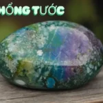 Đá Khổng Tước – Bình An và Tài Lộc