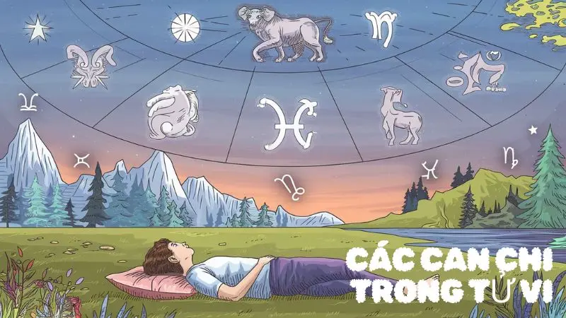 Các Can Chi Trong Tử Vi: Ý Nghĩa và Ứng Dụng Thực Tế